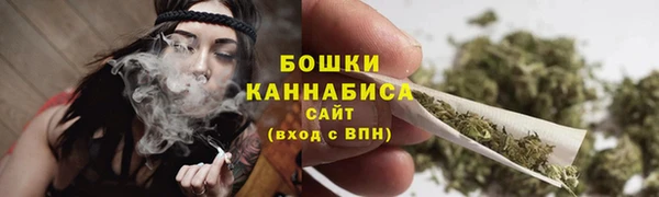 крисы Семилуки