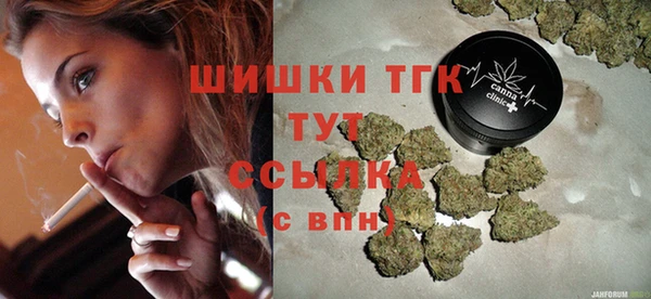 стаф Сураж