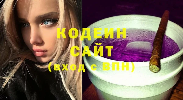 стаф Сураж