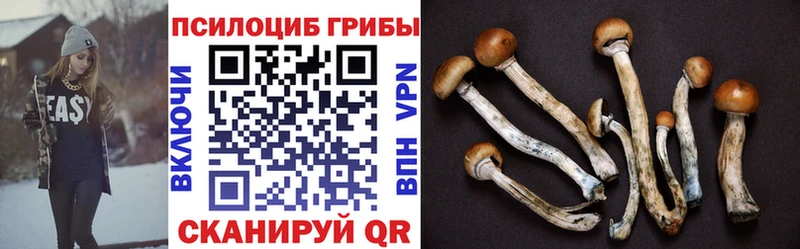 Галлюциногенные грибы GOLDEN TEACHER  Суздаль 